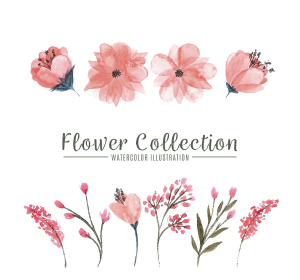 水彩绘粉色花卉 苗木 细腻笔触下的自然之美