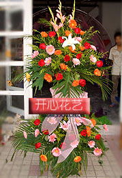 春季焕新进行时 特价鲜花与精选苗木指南