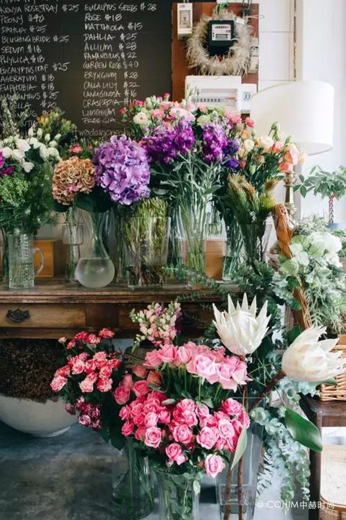 快速花艺课程毕业项目 苗木的商业化回归