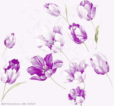 欧式卷草纹在苗木设计中的应用与素材选择