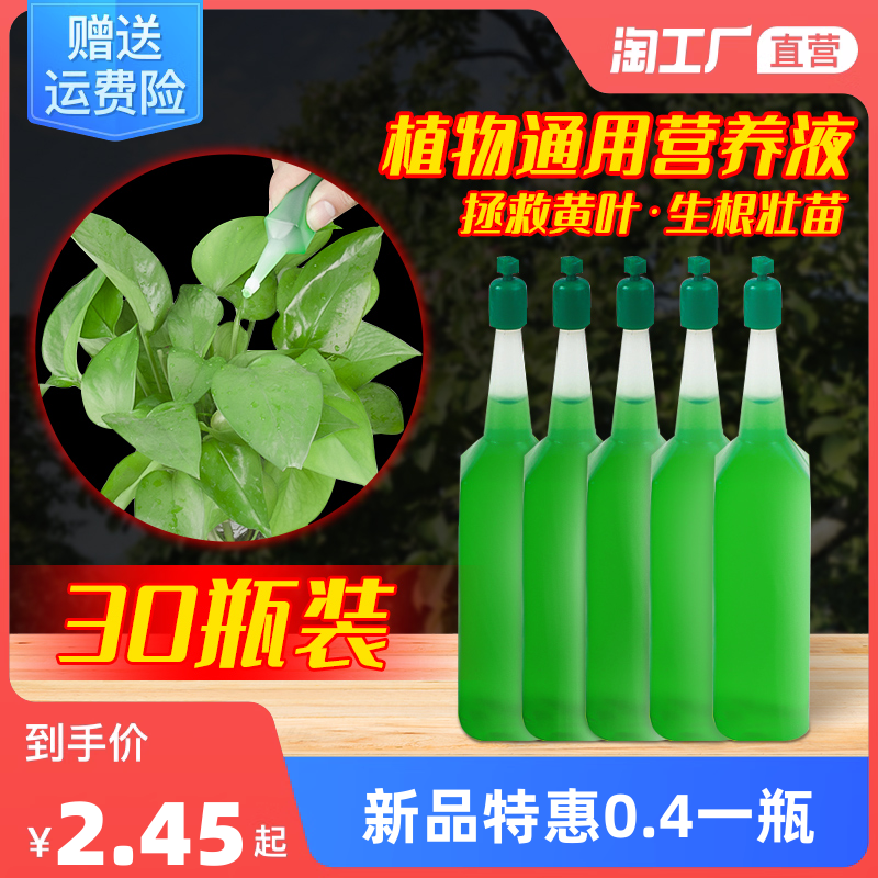 花卉网购热潮 现代生活的新宠与消费趋势解析