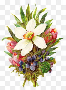 免费下载复古手绘花卉图片 千库网PNG苗木图库全指南