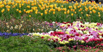 沈阳世博园 花卉之外的生态绿洲——蔬菜园区的魅力探索